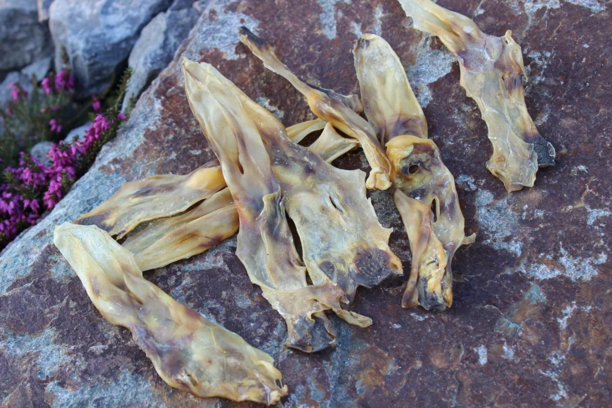 Kaninchenohren getrocknet